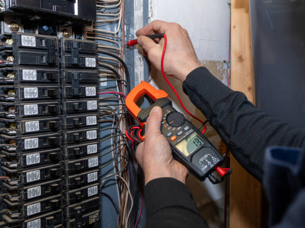 Best Ceiling Fan Installation Electrician  in Eudora, KS